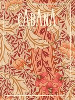 CABANA Issue 24 [PREORDER]