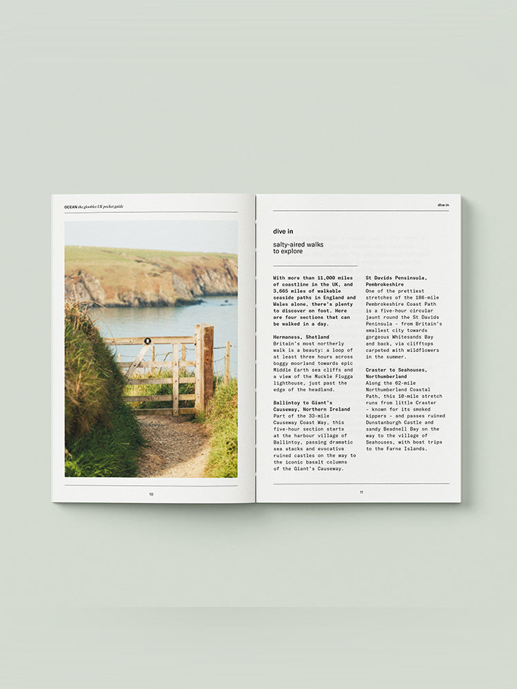 OCEAN: the goobles UK pocket guide