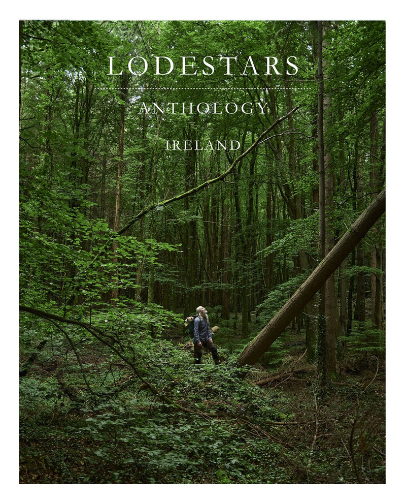 Lodestars Anthology Ireland